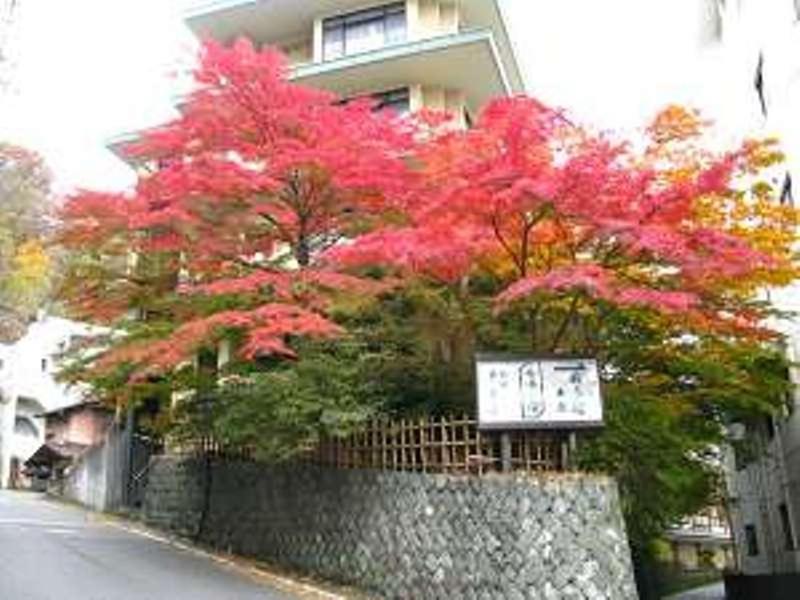 Yokotekan Shibukawa Extérieur photo